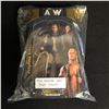 Image 1 : AEW "ADAM HANGMAN PAGE" WRESTLING ACTION FIGURE