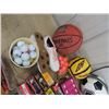Image 3 : Golf Balls, Volleyballs, Soccer Balls, Bicycle Helmet, Plus More!
