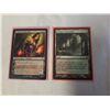 Image 1 : 2 RARE MAGIC THE GATHERING CARDS LILIANA OF THE VEIL MYTHIC RARE PLANESWALKER AND VERDANT CATACOMBS 
