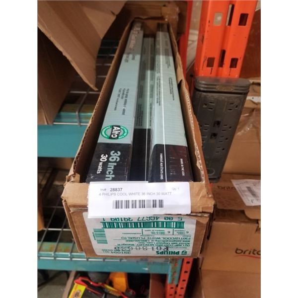 4 PHILIPS COOL WHITE 36 INCH 30 WATT FLUORESCENT LIGHT BULBS