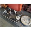 Image 3 : 3 dumbbells and tricep bar with 130 lb of plate weight
