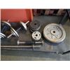 Image 4 : 3 dumbbells and tricep bar with 130 lb of plate weight