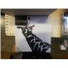 Image 2 : Two boxes of canvas prints