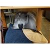 Image 2 : 5 DECORATIVE THROW PILLOWS