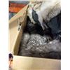 Image 3 : BOX OF FUR CLOTHING AND ACCESSORIES