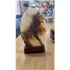 Image 3 : 3 laquered 8" stone plaques, engravable or paintable