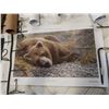 Image 3 : 8 ROBERT BATEMAN VARIETY CHILDRENS CHARITY POSTERS UNFRAMED PRINTS