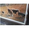Image 4 : SORTING OUT THE NEIGHBOURS CATTLE LEP BY JOHN SCHNURRENBERGER #25345