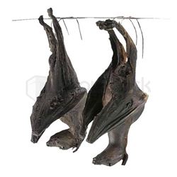 Batman Begins Hanging Bats