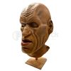 Image 2 : The Rocketeer Lothar Facial Appliance Display
