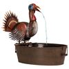 Image 1 : Bobbing Turkey Fountain