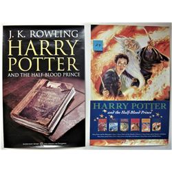 2 - 16X24 Harry Potter posters