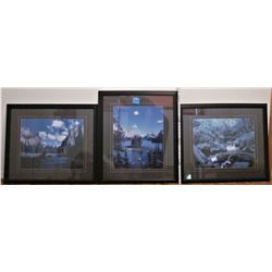 3 24.5" X 28.5" pictures