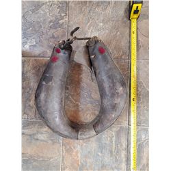 miniature horse collar