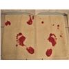 Image 3 : Rare 'blood bath' 68" X 68" shower curtain & 27" X 29" bath mat