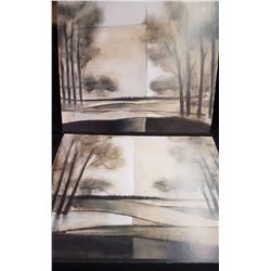 2 24 X 30 Prints on Cardboard with Frame