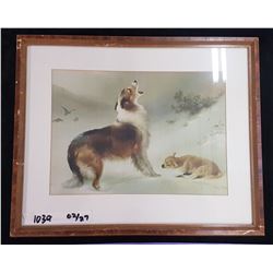 Framed Picture 17 " X 21.5"