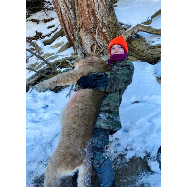 Cat Track Outfitters - Mountain Lion