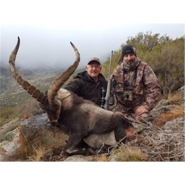 Valencia Expeditions - Ibex - SPAIN