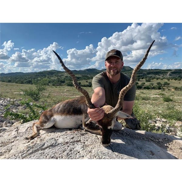 Ox Ranch - Blackbuck- TEXAS