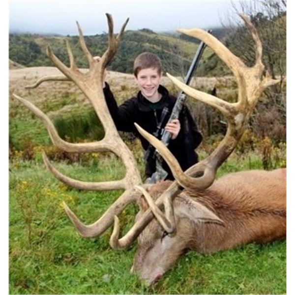 Silver Medal Red Stag Trophy Hunt New Zealand