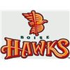 Image 2 : Four Tickets to a Boise Hawks Game
