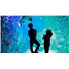 Image 1 : Aquarium of Boise Experience for Two Adults/Four Children