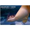 Image 2 : Aquarium of Boise Experience for Two Adults/Four Children
