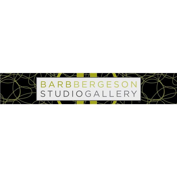 $250 toward Photo Shoot with Barb Bergeson Photography