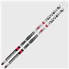 Image 2 : Rossignol cross-country skis and Cross-country ski lesson for up to two people