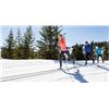 Image 3 : Rossignol cross-country skis and Cross-country ski lesson for up to two people