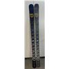 Image 1 : Pair of Alpine Skis