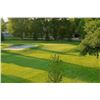 Image 1 : Golf for Four at The River Club