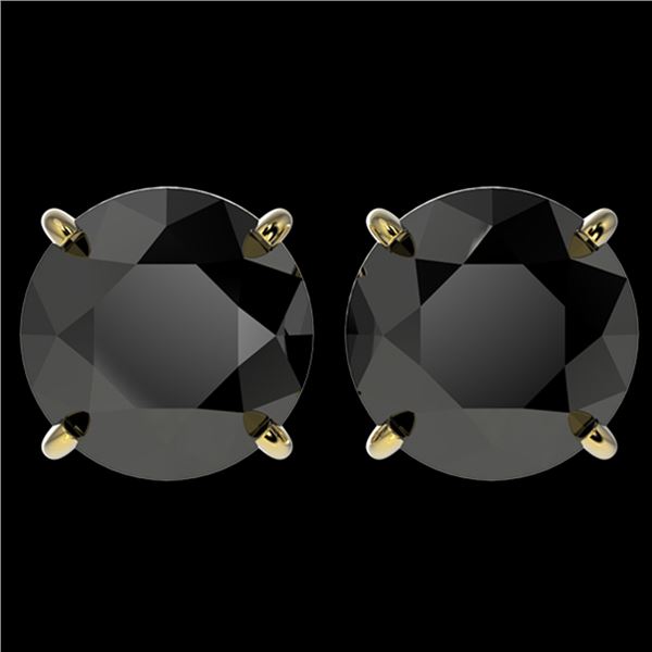 4 ctw Fancy Black Diamond Solitaire Stud Earrings 10k Yellow Gold - REF-68M8G