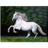 Image 1 : STUNNING ORIGINAL OIL PAINTING OF WHITE HORSE #1557596