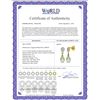 Image 2 : Genuine 4.53 ctw Green Amethyst & Diamond Earrings 14KT Yellow Gold - REF-25T6A
