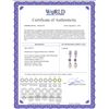 Image 2 : Genuine 9.5 ctw Pearl & Amethyst Earrings 14KT White Gold - REF-53M2T