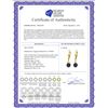 Image 2 : Genuine 4.06 ctw Black Pearl & Diamond Earrings 14KT Yellow Gold - REF-40W5Y