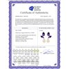 Image 2 : Genuine 16 ctw Pearl & Amethyst Earrings 14KT Rose Gold - REF-42T2A