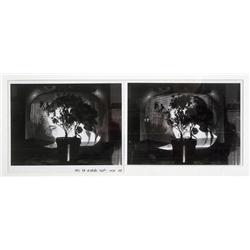 Michael Druks, Isareli painting