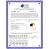 Image 2 : Genuine 3 ctw Garnet Ring 14KT Yellow Gold - REF-22H5X