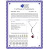 Image 2 : Genuine 0.55 ctw Ruby Necklace 14KT White Gold - REF-28F3Z