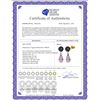 Image 2 : Genuine 6.6 ctw Black Pearl, Amethyst & Diamond Earrings 14KT Yellow Gold - REF-27F6Z