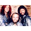 Image 1 : Bee Gees Autograph Signed Photo