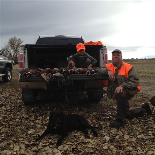 Pheasant Hunt