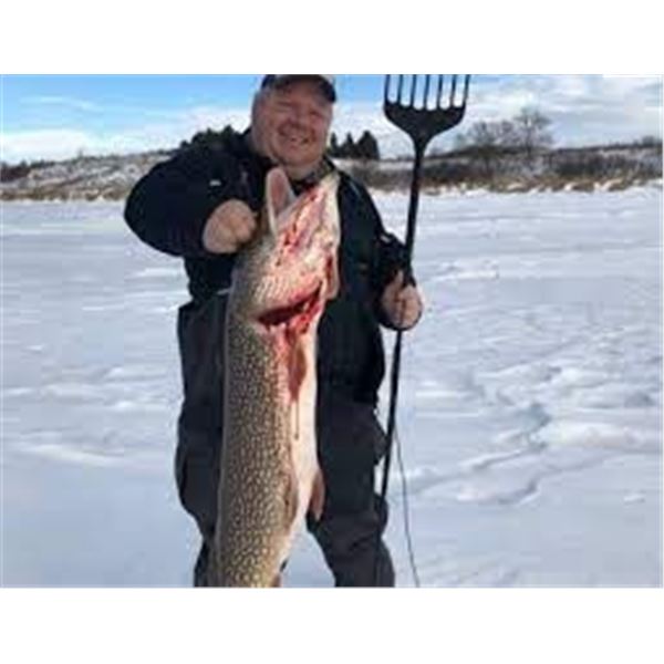 North Dakota Pike Spearing