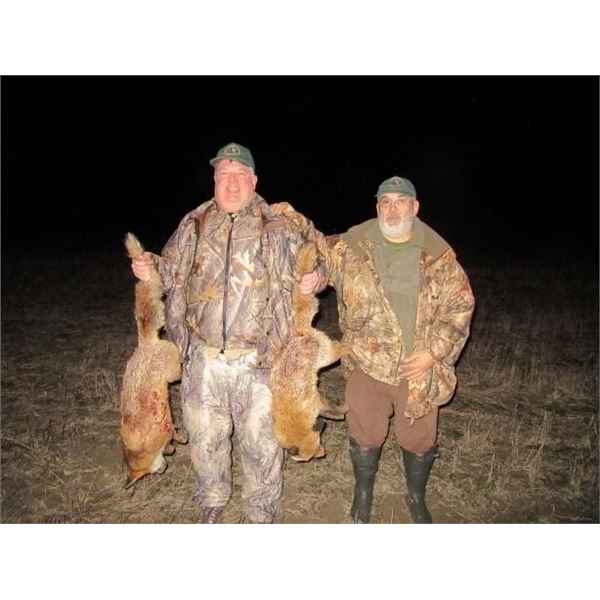 Small Predators in Serbia