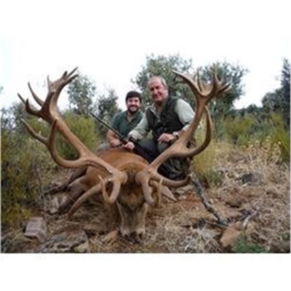 4 Day Hunt for Red Stag in Spain