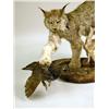 Image 2 : A TAXIDERMY MOUNT