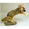 Image 1 : A TAXIDERMY MOUNT